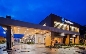 Best Western Covington Louisiana